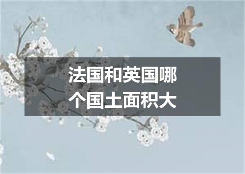 法国和英国哪个国土面积大