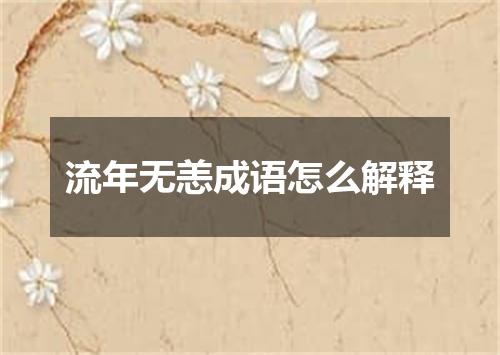 流年无恙成语怎么解释