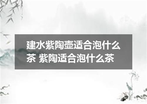 建水紫陶壶适合泡什么茶 紫陶适合泡什么茶