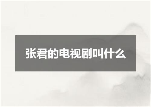 张君的电视剧叫什么