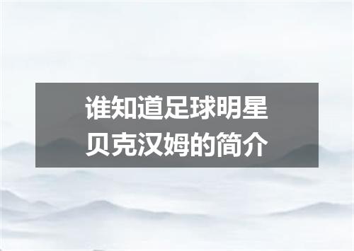 谁知道足球明星贝克汉姆的简介