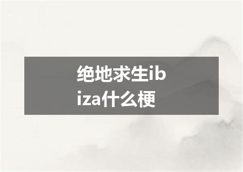 绝地求生ibiza什么梗