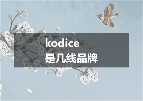 kodice是几线品牌