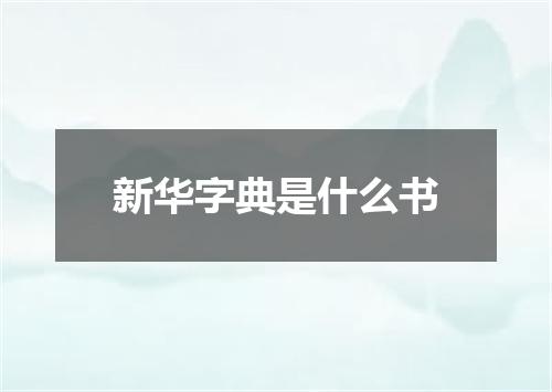 新华字典是什么书