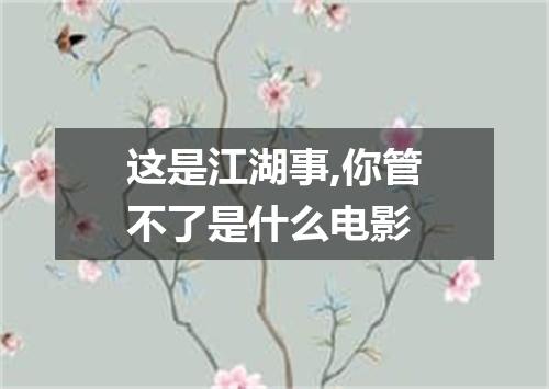 这是江湖事,你管不了是什么电影