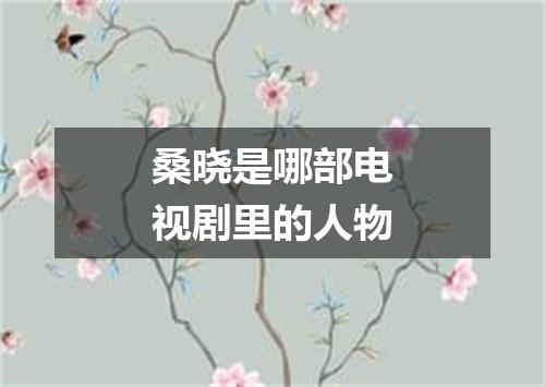 桑晓是哪部电视剧里的人物