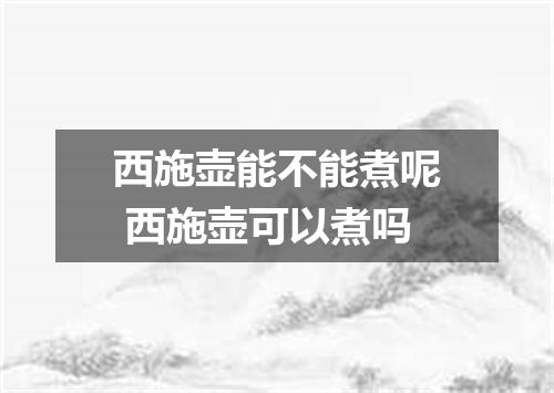 西施壶能不能煮呢 西施壶可以煮吗