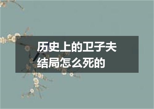 历史上的卫子夫结局怎么死的
