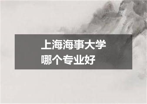 上海海事大学哪个专业好
