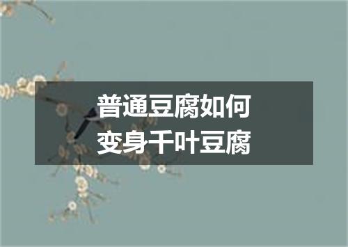 普通豆腐如何变身千叶豆腐