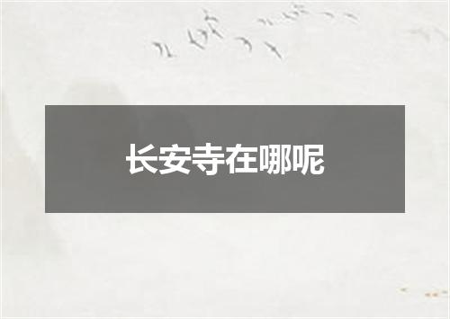 长安寺在哪呢