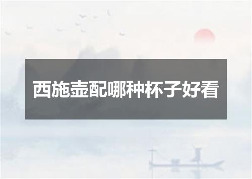 西施壶配哪种杯子好看