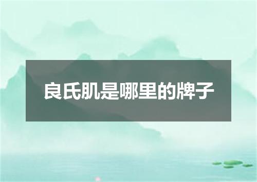 良氏肌是哪里的牌子