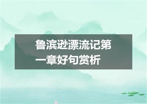 鲁滨逊漂流记第一章好句赏析