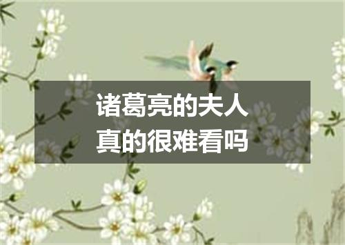 诸葛亮的夫人真的很难看吗