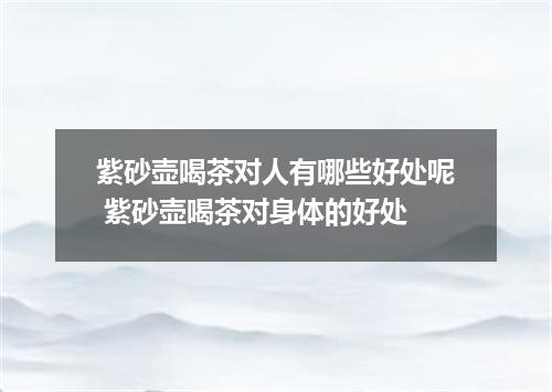 紫砂壶喝茶对人有哪些好处呢 紫砂壶喝茶对身体的好处