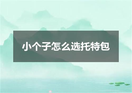 小个子怎么选托特包