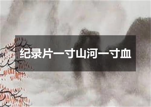 纪录片一寸山河一寸血