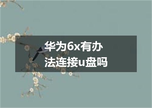 华为6x有办法连接u盘吗