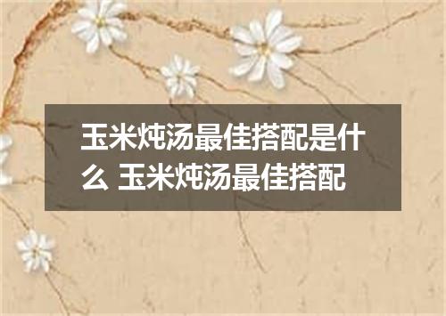 玉米炖汤最佳搭配是什么 玉米炖汤最佳搭配