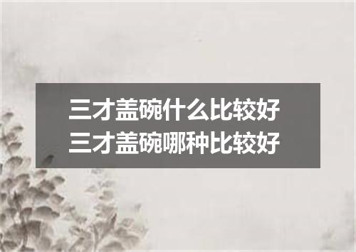 三才盖碗什么比较好 三才盖碗哪种比较好