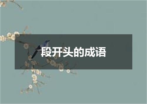 段开头的成语