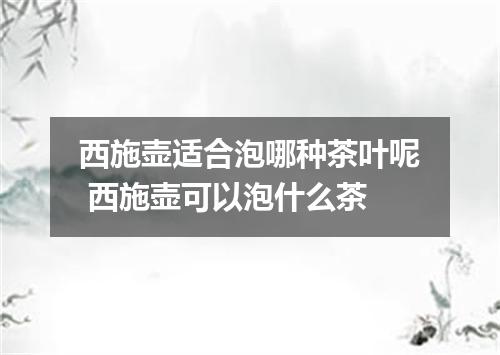 西施壶适合泡哪种茶叶呢 西施壶可以泡什么茶