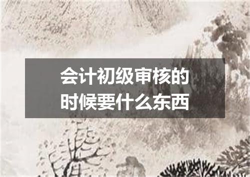 会计初级审核的时候要什么东西