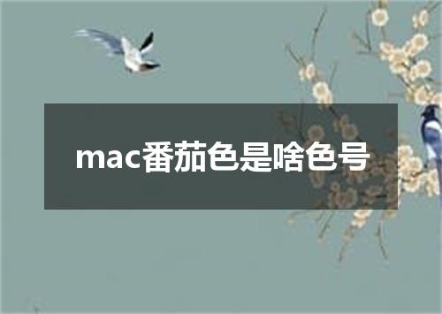 mac番茄色是啥色号