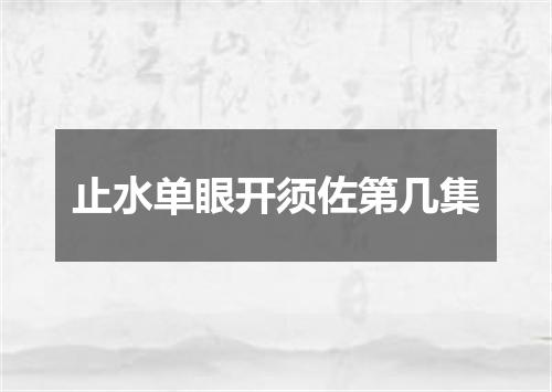 止水单眼开须佐第几集