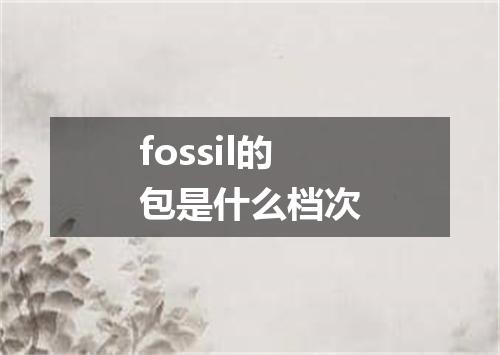 fossil的包是什么档次