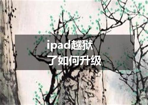 ipad越狱了如何升级
