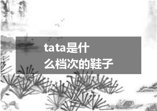 tata是什么档次的鞋子