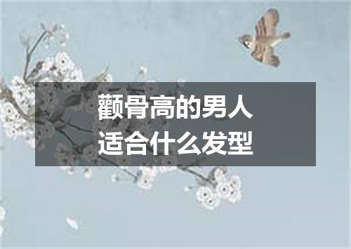 颧骨高的男人适合什么发型