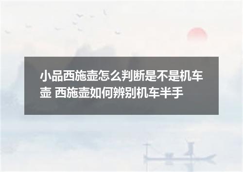 小品西施壶怎么判断是不是机车壶 西施壶如何辨别机车半手