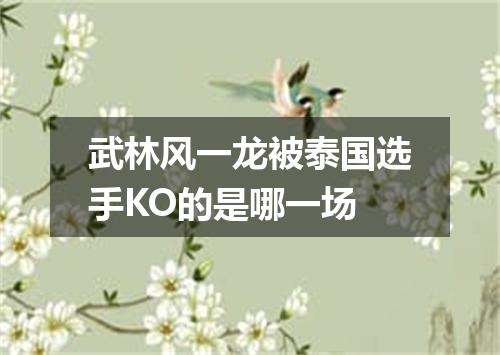 武林风一龙被泰国选手KO的是哪一场