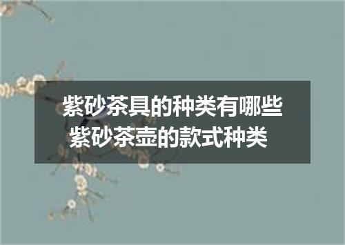 紫砂茶具的种类有哪些 紫砂茶壶的款式种类