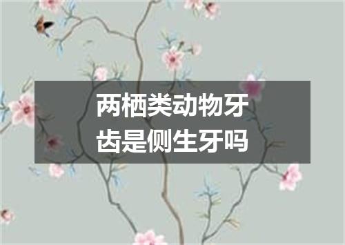 两栖类动物牙齿是侧生牙吗