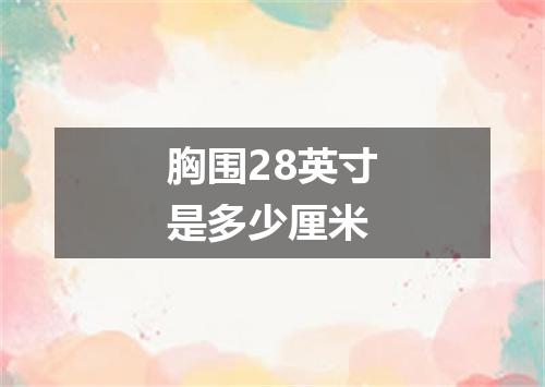 胸围28英寸是多少厘米