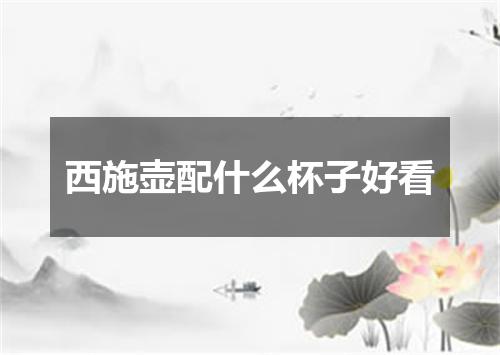 西施壶配什么杯子好看