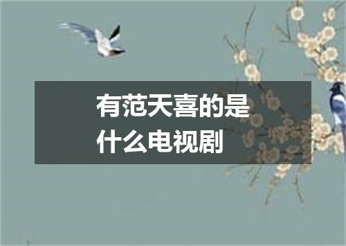 有范天喜的是什么电视剧