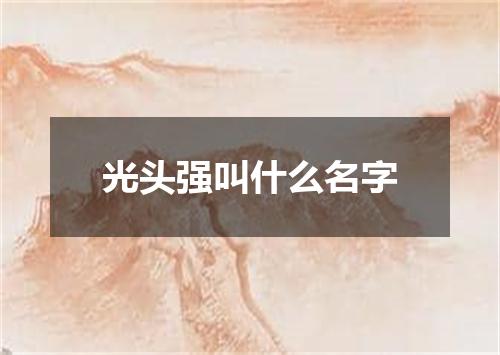 光头强叫什么名字