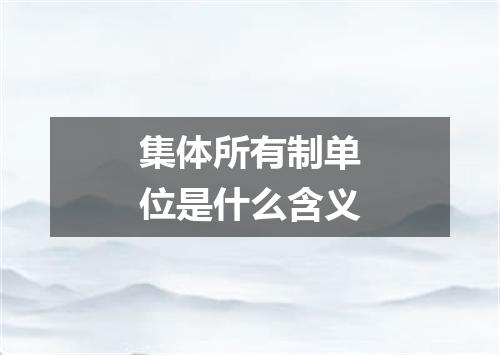 集体所有制单位是什么含义