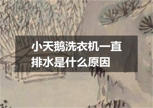 小天鹅洗衣机一直排水是什么原因