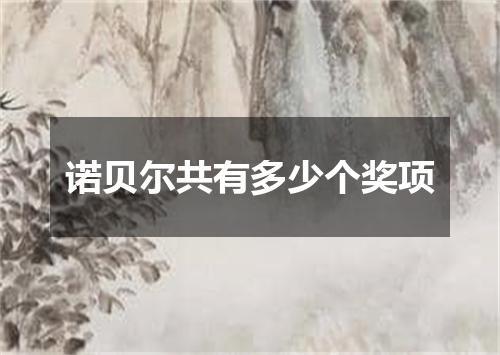 诺贝尔共有多少个奖项