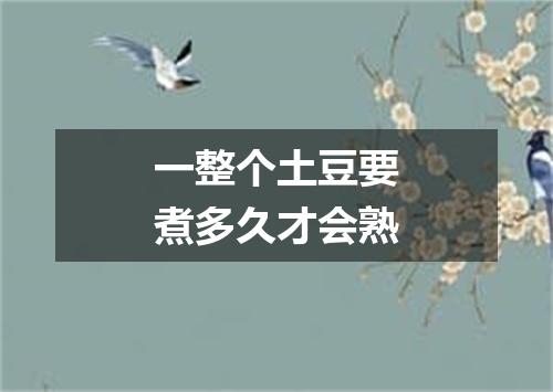 一整个土豆要煮多久才会熟