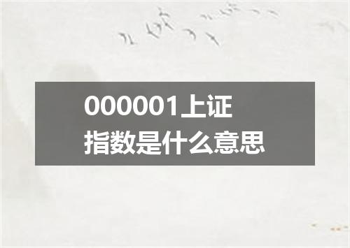 000001上证指数是什么意思