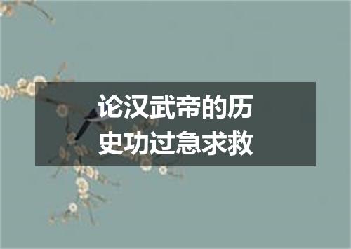 论汉武帝的历史功过急求救