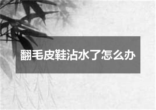 翻毛皮鞋沾水了怎么办