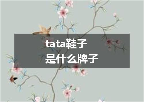 tata鞋子是什么牌子